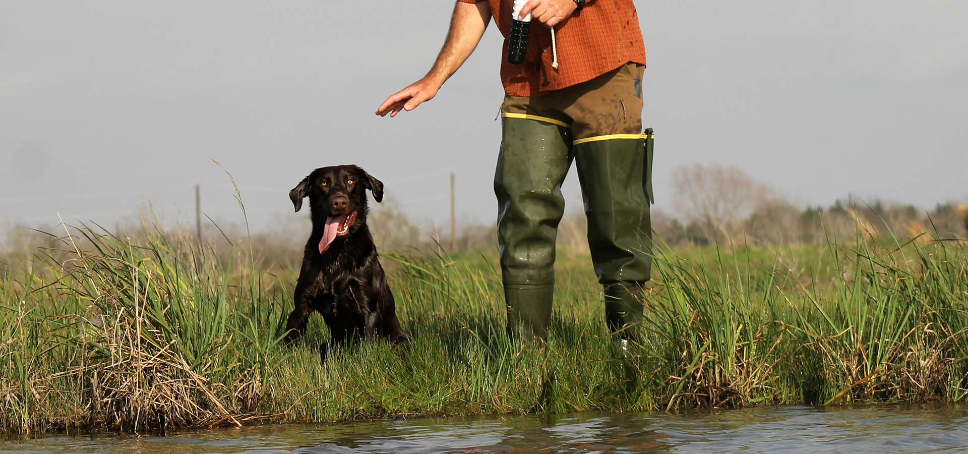 Obedience Only Obedience Only